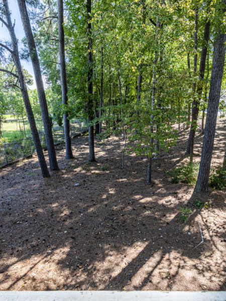 3716 Carnegie Lane Raleigh, NC 27612